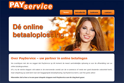 TSA Group Delft bv - PayService screenshot website oranje